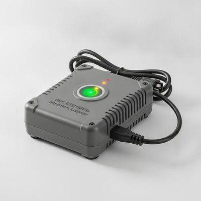 LED充電状態表示器と工業用コンパクトな300gデザインのFCC認定標準バッテリー充電器